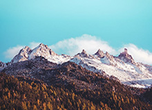 完美体育官方网站-西蓝花汁成冬奥选手热门补给