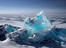 完美体育官方网站-西蓝花汁成冬奥选手热门补给